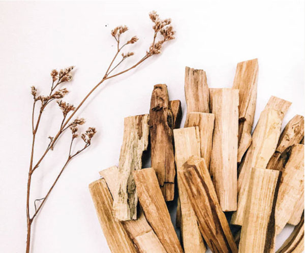 INCENSO PALO SANTO NATURALE BULNESIA SARMIENTI PER PULIZIA ENERGETICA