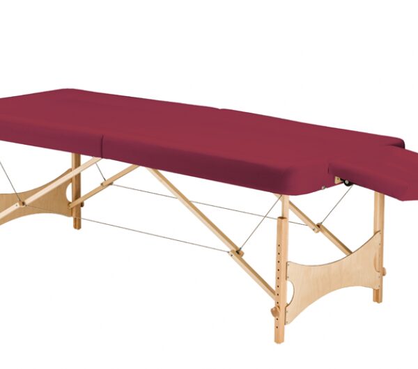 LETTINO STANDARD PRO AYURVEDA