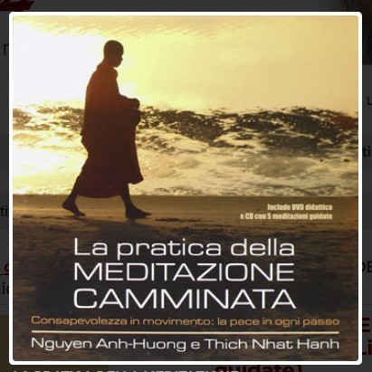 LA PRATICA DELLA MEDITAZIONE CAMMINATA